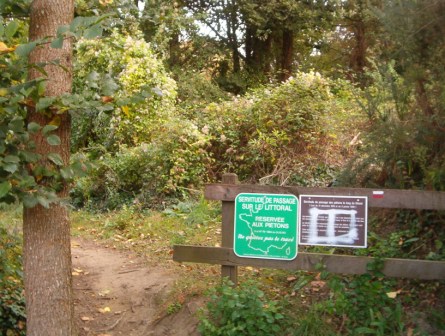 Photos du chemin des douaniers  150m